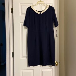 Navy t-shirt dress. Size Large. Never worn.